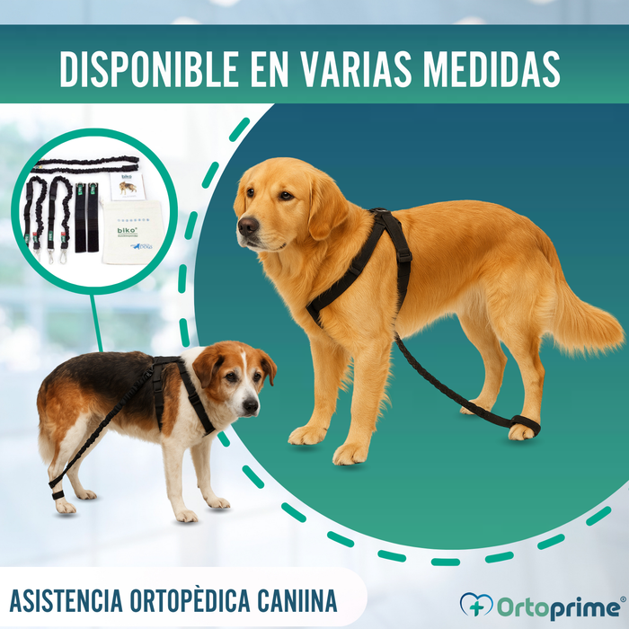 Dispositivo para Ataxia Canina | Asistencia para Perros