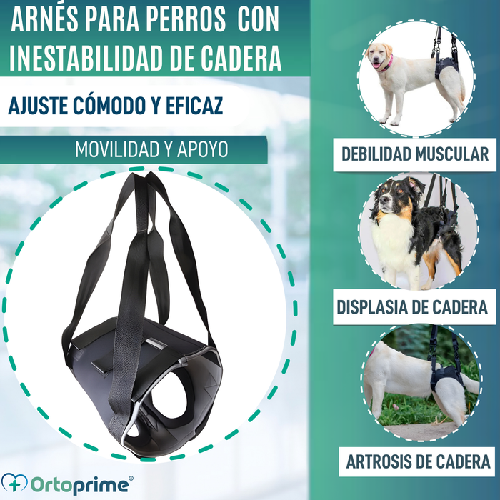 Arnés de Rehabilitación Canina Patas Traseras | 5 Tallas