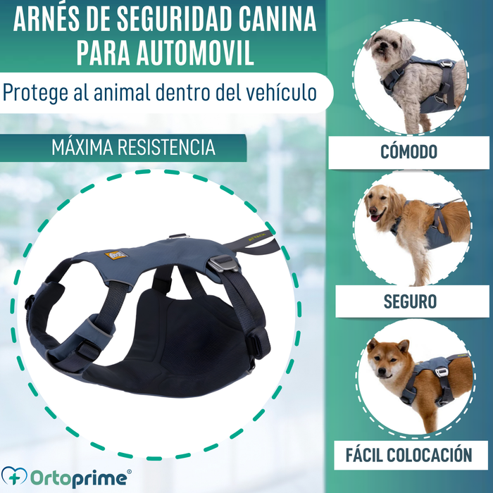 Arnés de Seguridad para Traslado Canino | Mayor Resistencia