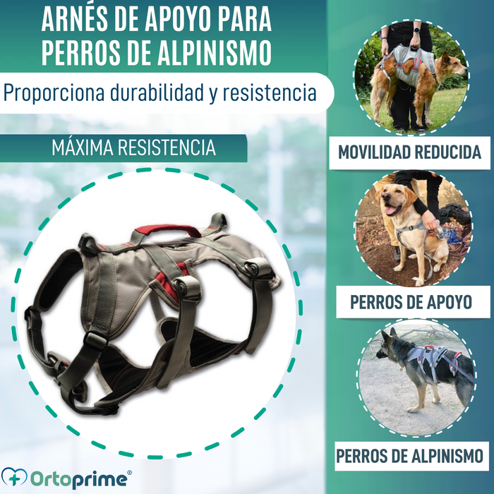 Arnés de Apoyo para Perros de Alpinismo | Máxima Resistencia