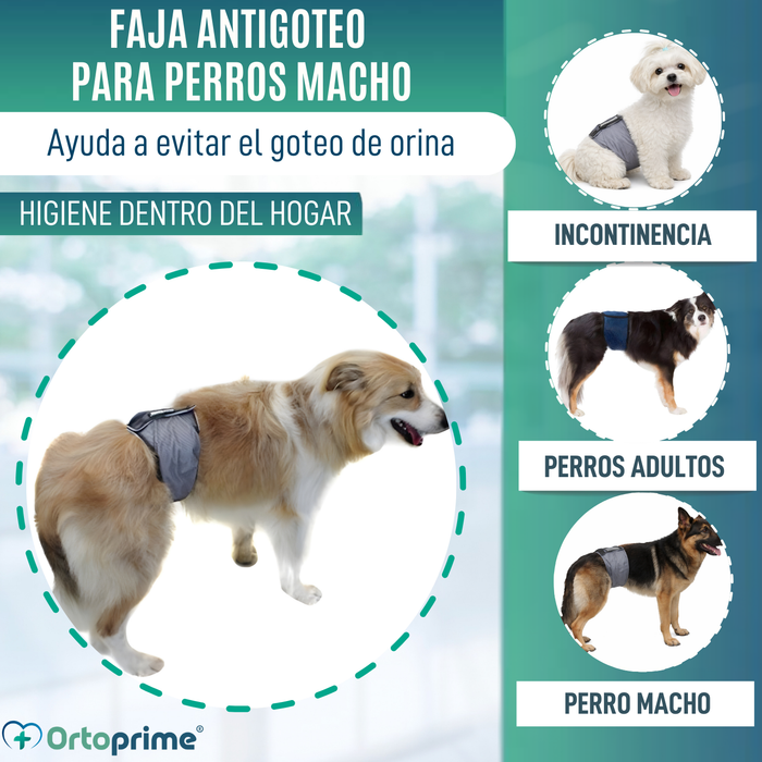 Faja Antigoteo para Incontinencia Canina | Perro Macho