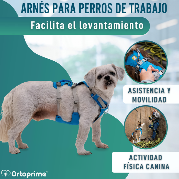 Arnés de Elevación Multiuso Canino | Estructura Resistente