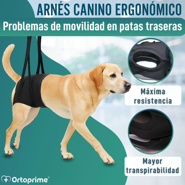 Arnés de Rehabilitación Canina Patas Traseras | 5 Tallas