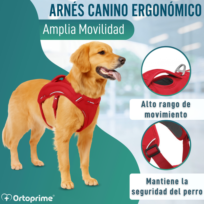 Arnés de Sujeción para Perros de Servicio | 5 Tallas