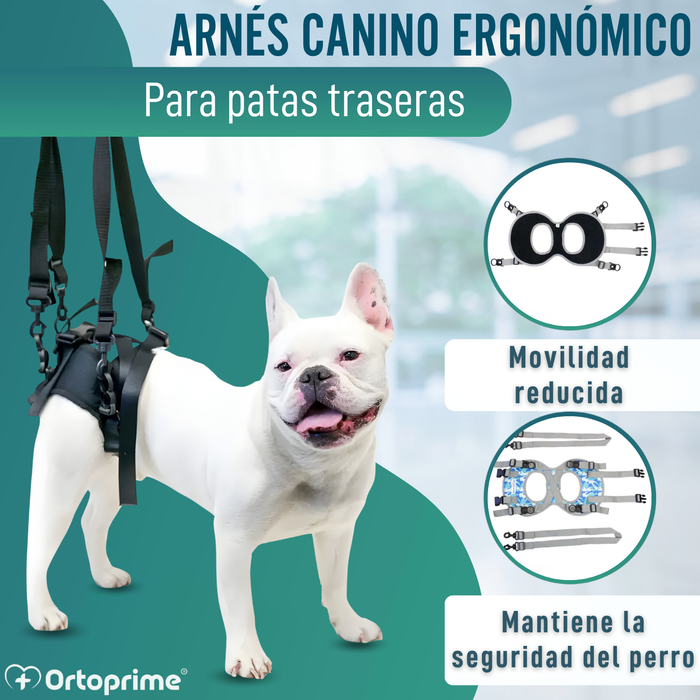 Arnés para Perros con Movilidad Reducida en Patas Traseras