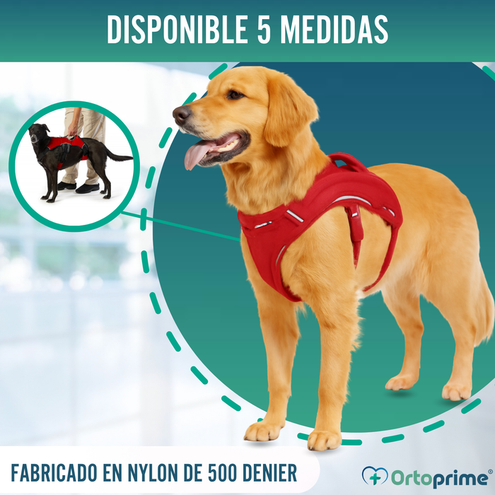 Arnés de Sujeción para Perros de Servicio | 5 Tallas