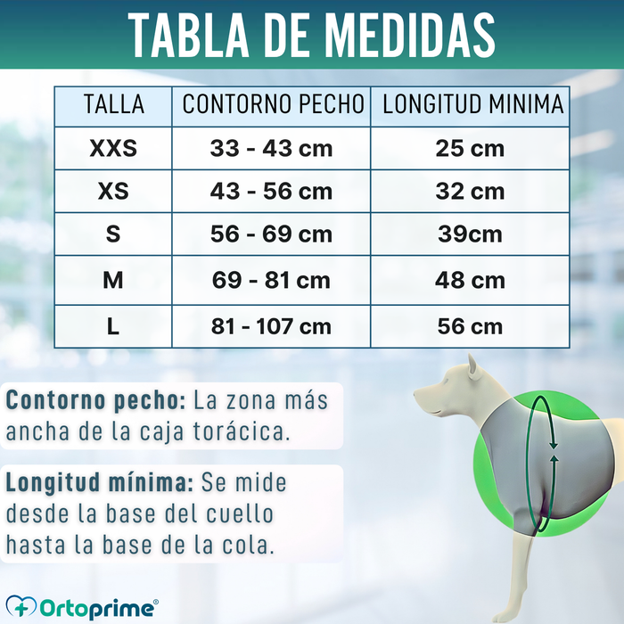 Arnés de Sujeción para Perros de Servicio | 5 Tallas