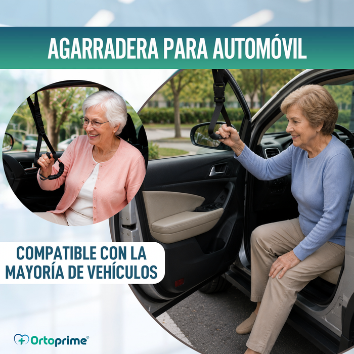 Correa de Salida para Coche con Asidero y Mango Ergonómico