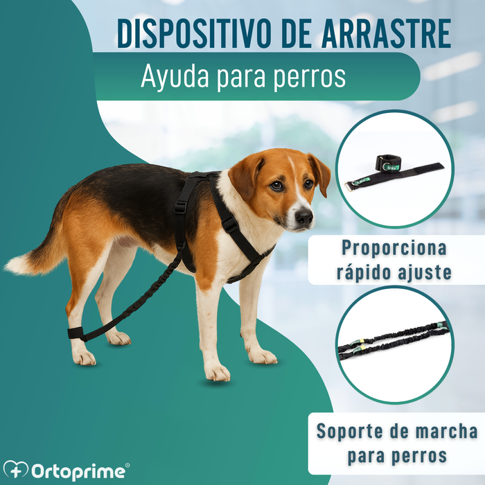 Dispositivo para Ataxia Canina | Asistencia para Perros