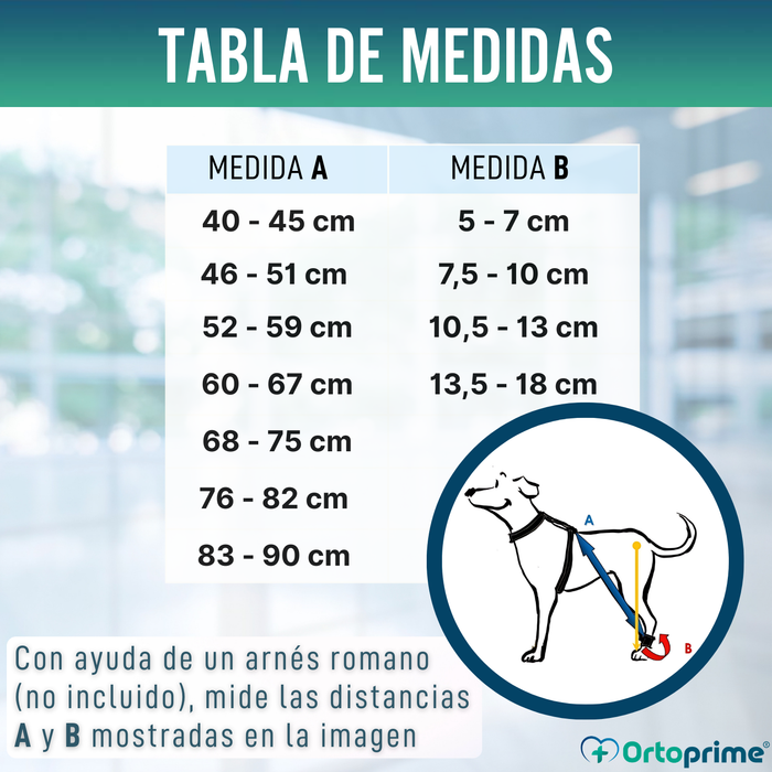 Dispositivo para Ataxia Canina | Asistencia para Perros