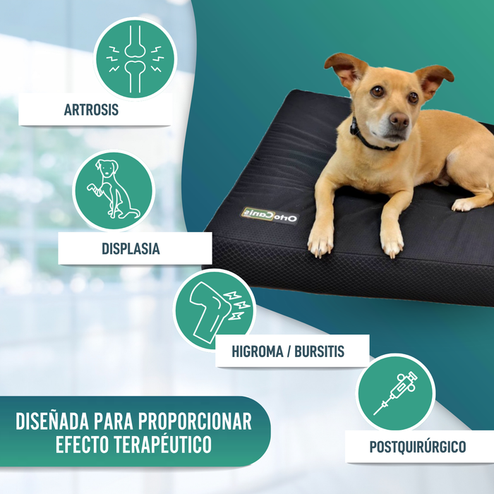 Colchón para Perros Viscoelástico con Funda | 4 Tallas