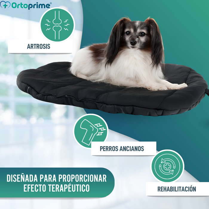 Cama Térmica para Perros con Artrosis | Tejido Terapéutico