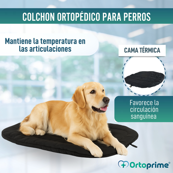 Cama Térmica para Perros con Artrosis | Tejido Terapéutico