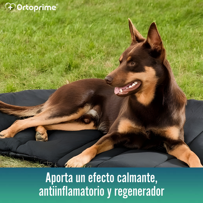 Cama Térmica para Perros con Artrosis | Tejido Terapéutico