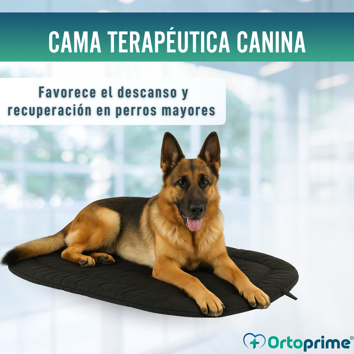 Cama Térmica para Perros con Artrosis | Tejido Terapéutico