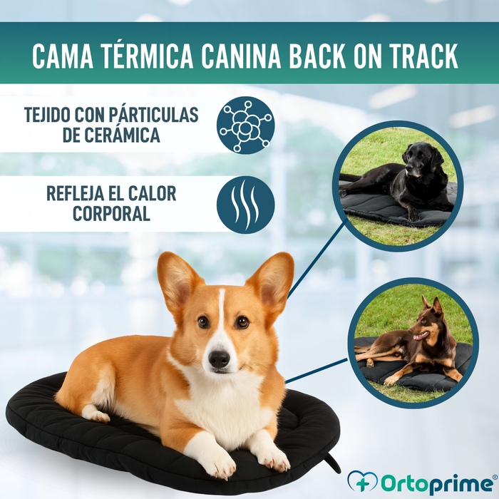 Cama Térmica para Perros con Artrosis | Tejido Terapéutico
