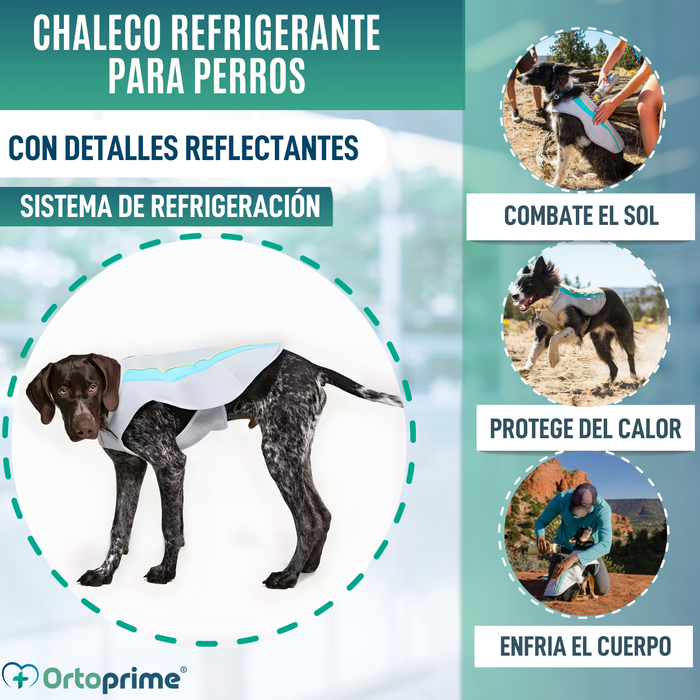 Chaleco de Verano para Perros | Refrigeración Evaporativa