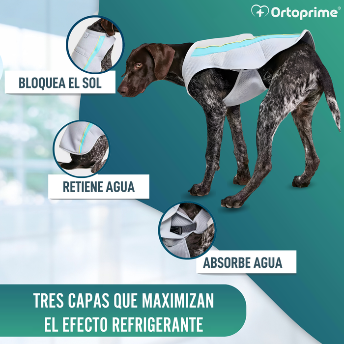 Chaleco de Verano para Perros | Refrigeración Evaporativa