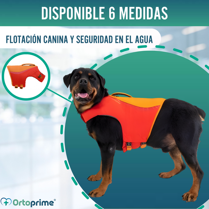 Chaleco Salvavidas Perro Múltiple Uso | Seguridad Acuática