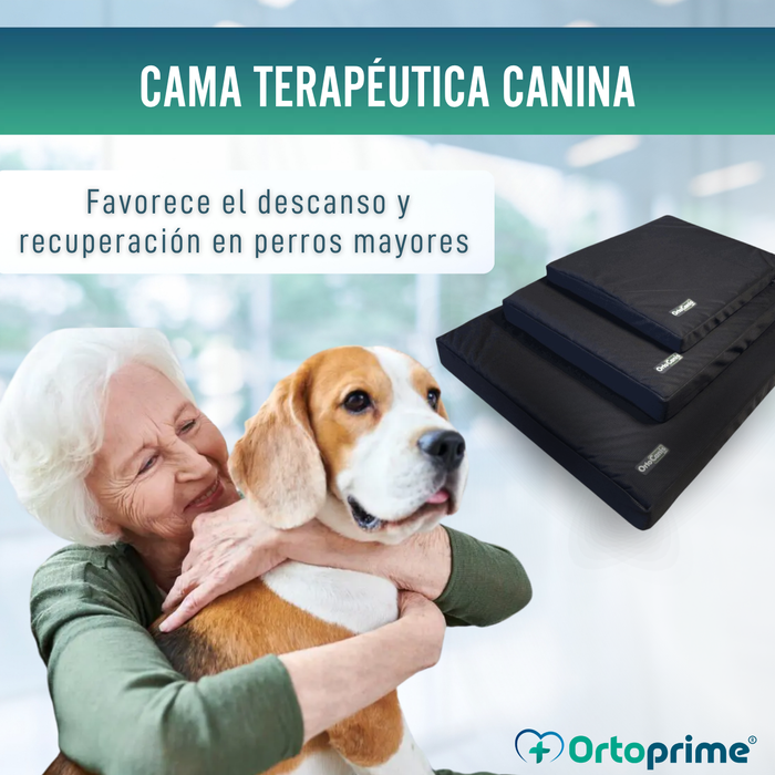 Colchón para Perros Viscoelástico con Funda | 4 Tallas