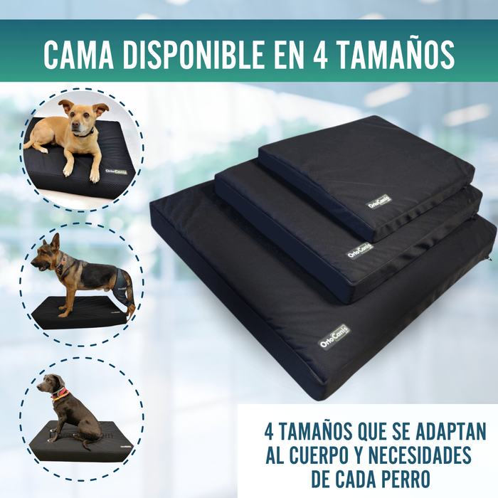 Colchón para Perros Viscoelástico con Funda | 4 Tallas