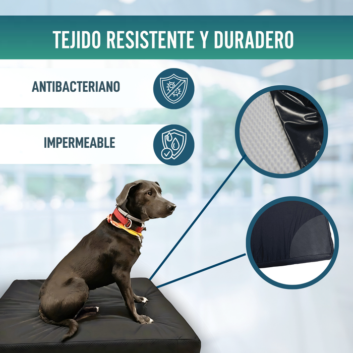 Colchón para Perros Viscoelástico con Funda | 4 Tallas