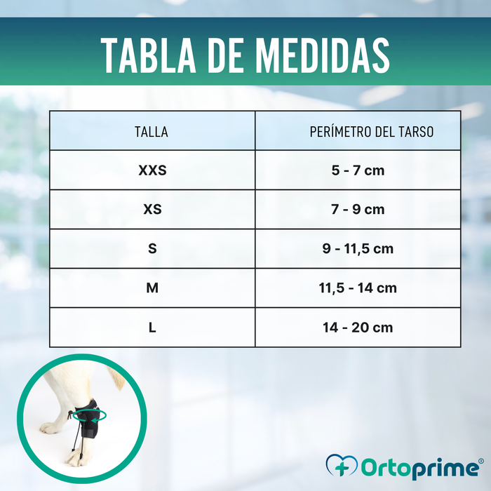 Corrector Propioceptivo para Perros con Knuckling | 5 Tallas