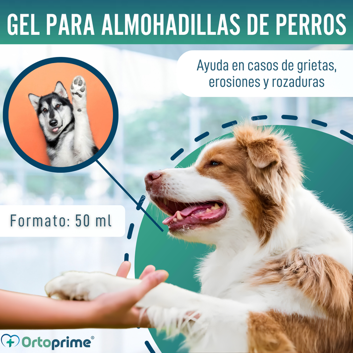 Gel Protector de Almohadillas para Perros | Aloe Vera 50ml