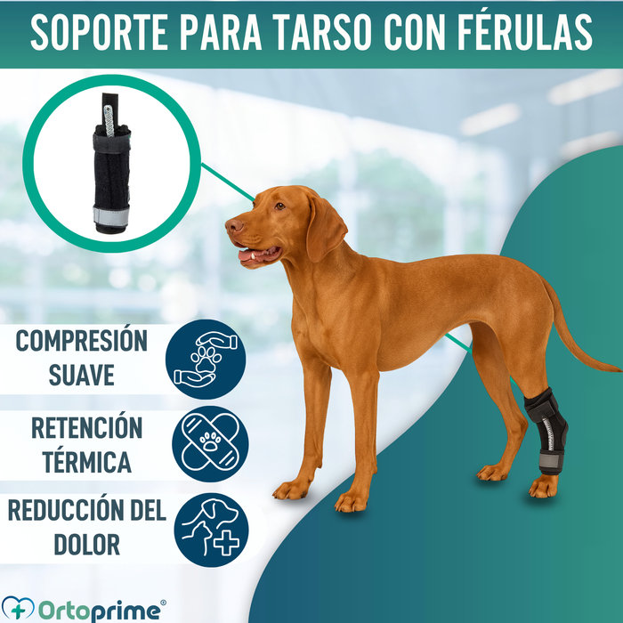 Soporte de Tarso Canino con Férulas Extraíbles | 2 Unidades