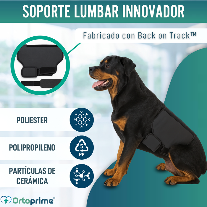Soporte Térmico Canino Back on Track | Faja para la espalda