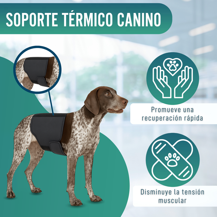 Soporte Térmico Canino Back on Track | Faja para la espalda
