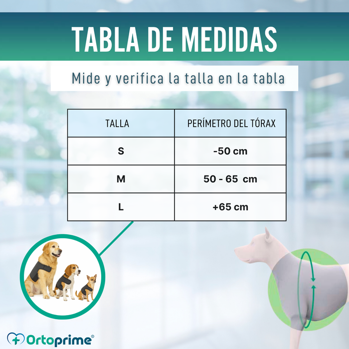 Soporte Térmico Canino Back on Track | Faja para la espalda