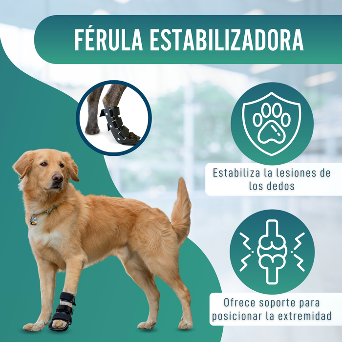 Férula de Bota Corta para Perros con Knuckling | 5 Tallas