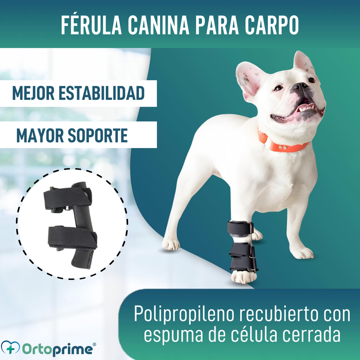 Férula de Carpo para Perro | Soporte Canino en 5 Tallas