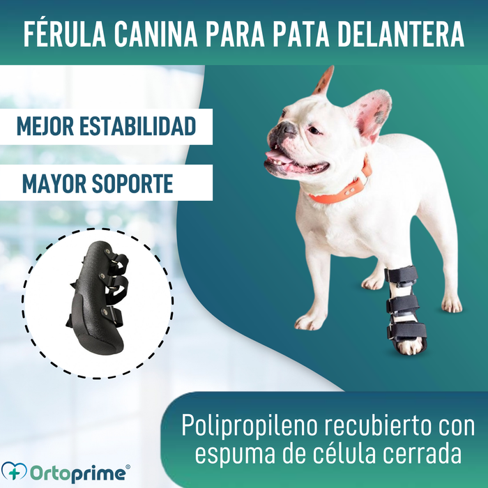 Férula Canina para Pata Delantera de Polipropileno | 6 Tallas