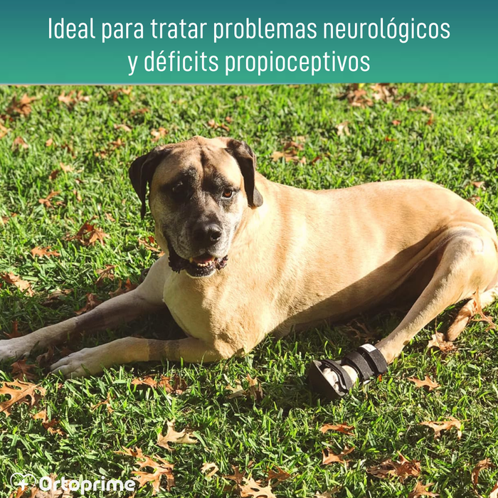 Férula de Bota Corta para Perros con Knuckling | 5 Tallas