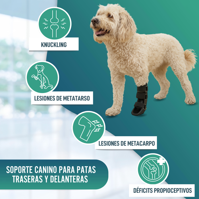 Férula de Bota Corta para Perros con Knuckling | 5 Tallas