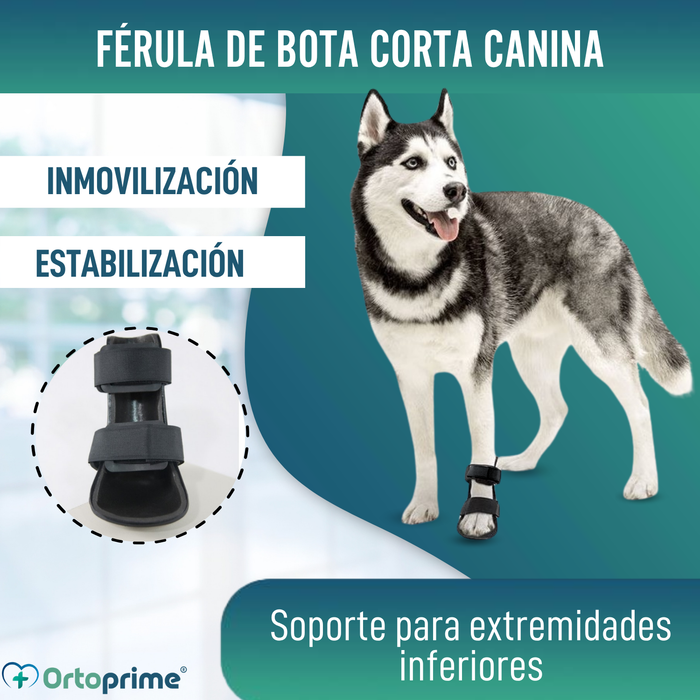 Férula de Bota Corta para Perros con Knuckling | 5 Tallas