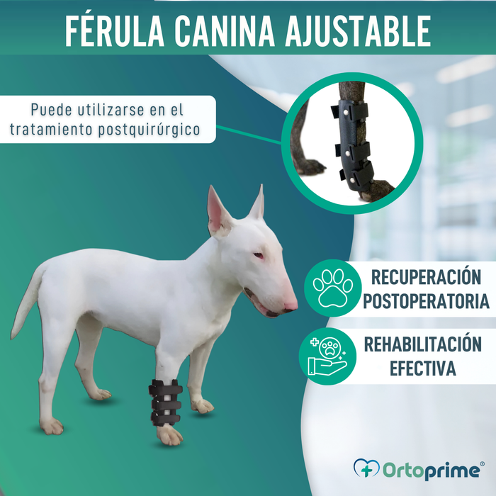 Férula de Carpo para Perro | Soporte Canino en 5 Tallas