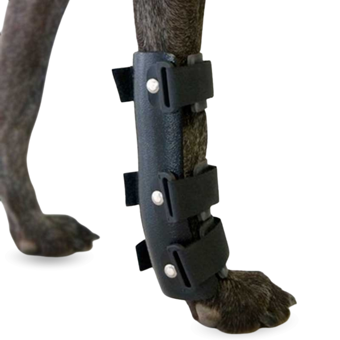Férula de Carpo para Perro | Soporte Canino en 5 Tallas
