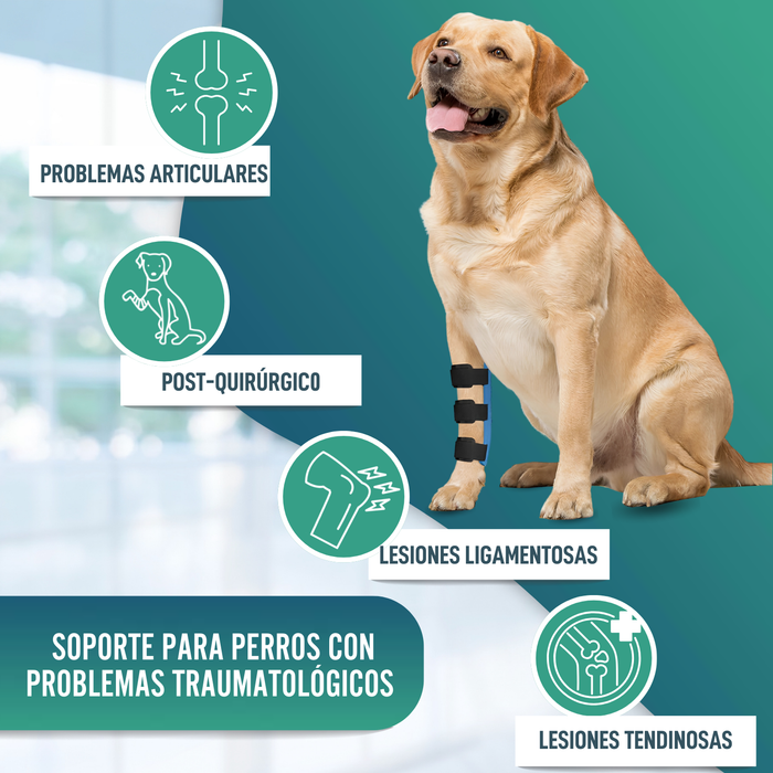 Férula de Carpo para Perro | Soporte Canino en 5 Tallas