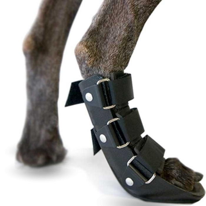 Férula de Bota Corta para Perros con Knuckling | 5 Tallas