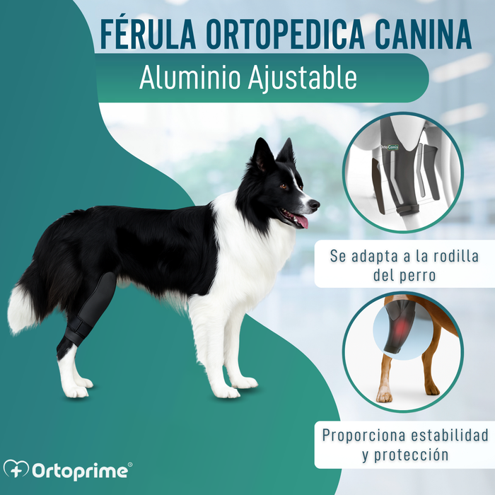 Inmovilizador de Rodilla para Perros de Neopreno | 9 Tallas