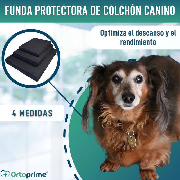 Funda Impermeable para Colchón Ortopédico Canino | 4 Medidas