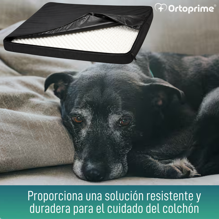 Funda Impermeable para Colchón Ortopédico Canino | 4 Medidas