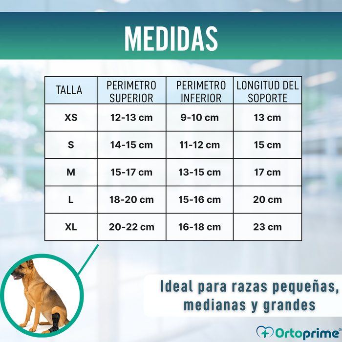 Soporte de Tarso Canino con Férulas Extraíbles | 2 Unidades