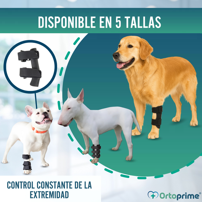 Férula de Carpo para Perro | Soporte Canino en 5 Tallas