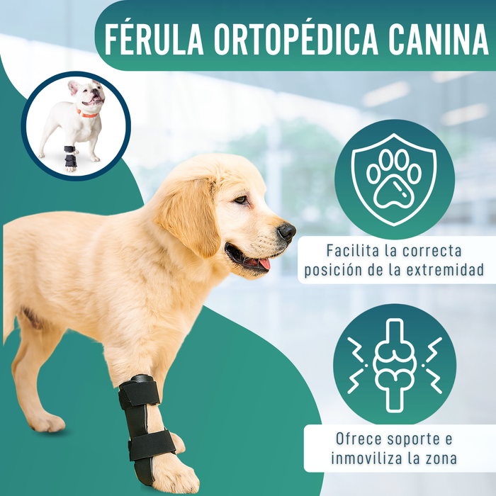 Férula de Carpo para Perro | Soporte Canino en 5 Tallas