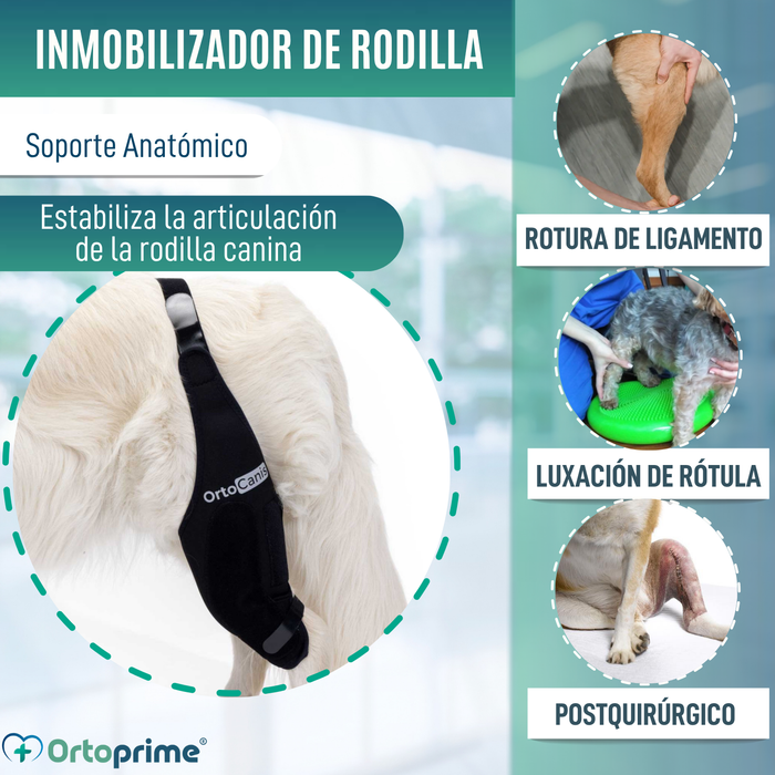 Inmovilizador de Rodilla para Perros de Neopreno | 9 Tallas