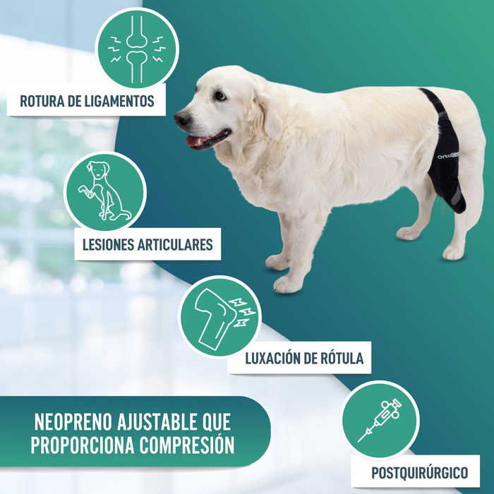 Inmovilizador de Rodilla para Perros de Neopreno | 9 Tallas